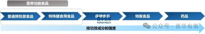 2024-2030年营养功能食品行业细分市场分析及投资前景预