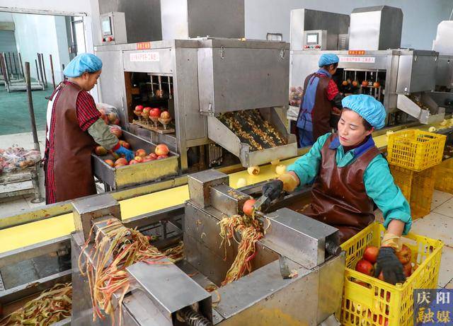 【摄影报道】|利来体育官网入口甘肃正宁县金牛实业复工复产冲刺