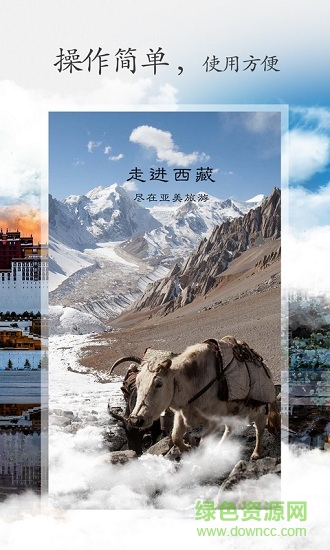利来国际旅游